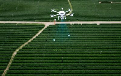 How Technology is Transforming the Tea Industry: From Optional to Essential
